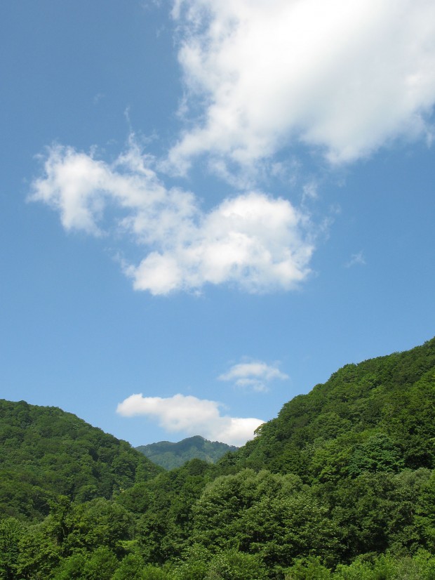 森林、空、雲、無料写真素材015