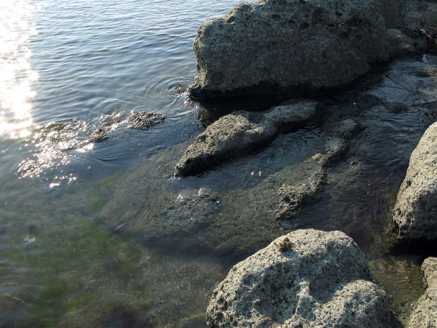 海の岸壁、岩、無料写真素材003