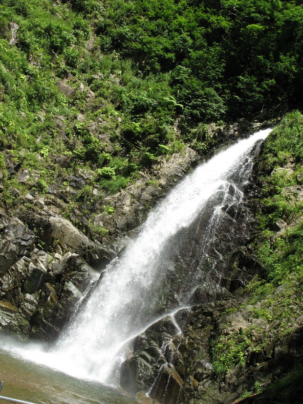 滝、森林、無料写真素材002