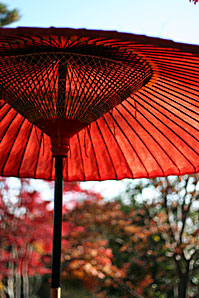 紅葉無料写真素材サムネイル