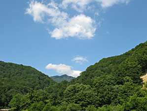 森林、空、雲、無料写真素材サムネイル
