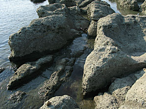 海の岸壁、岩、無料写真素材サムネイル
