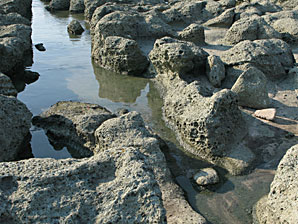 海の岸壁、岩、無料写真素材サムネイル