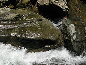 川（河）、濁流の無料写真素材サムネイル