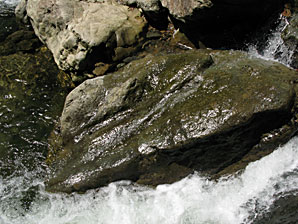 川（河）、濁流の無料写真素材サムネイル