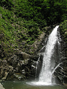 滝、森林、無料写真素材サムネイル