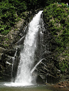 滝、森林、無料写真素材サムネイル