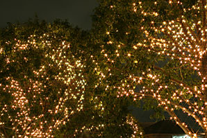 恵比寿ガーデンプレイス、クリスマス（Xmas）イルミネーションサムネイル