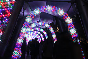 後楽園クリスマスイルミネーションサムネイル