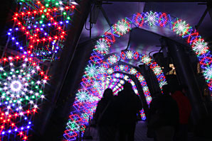 後楽園クリスマスイルミネーションサムネイル