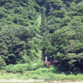 滝、森林(白色の滝)サムネイル